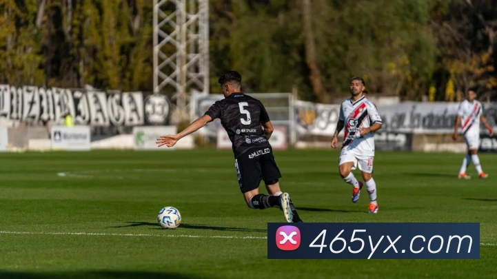 体育数据展示